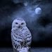 Michelle Del Nero : Psychic  Medium - Facebook