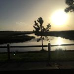 Michelle Curtis-Newbold - @michellecurtisnewbold - Instagram
