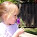 Michelle Newcomb Photography - Facebook