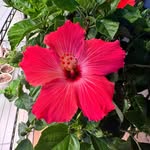 Michelle E Nicks - @michellenicks59 - Instagram