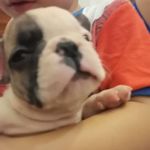 Michelle Nigro - @michelle.nigro.18 - Instagram