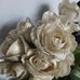 Schelly Lein - Facebook