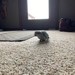 Michelle Null - @michelle.stout.75054 - Instagram
