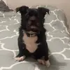michelleoden - @michelleoden - TikTok