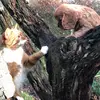 michelle oerlemans - @kittenamara13 - TikTok