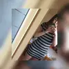 Michelle Offermann - @michelleoffermann - TikTok