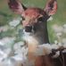 Michelle Ohman - Facebook