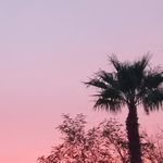 Michelle Olden - @mi.olden - Instagram