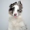 Michelle Oravec - @user4583637118884 - TikTok