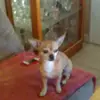 michelle corman - @michelle.corman7 - TikTok