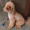 MICHELE Orsi - @michele.orsi - TikTok