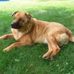 Michelle Osowski - Facebook