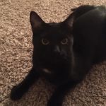 Michelle Osowski - @pandorasmama - Instagram