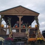 Michelle Otis Lange - @missy_1963 - Instagram
