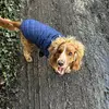 Michelle Ottley - @m.ottley - TikTok