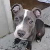 Michelle Packer - @michelle.packer2 - TikTok