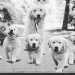Michelle_Pferd - @michelle.pair1 - Instagram