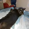 michellepalmateer - @michellepalmateer33 - TikTok