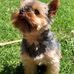 Michele Paoli - Facebook