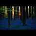 Michelle Papp - Facebook