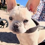 michelle papp - @neinobloom - Instagram