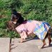 Michelle Pardue - Facebook