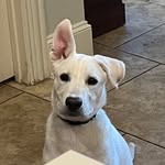 Michelle Effinger Passmore - @mepass27 - Instagram