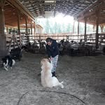 Michelle Passmore - @kamloopslover - Instagram