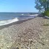 Michelle Patchen - @michelle.patchen - TikTok