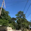 michellepavanelli33 - @michellepavanelli33 - TikTok