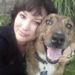 Michelle Pease - @stray_dogs_of_townsville - Instagram