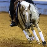 Michelle Pease Paulsen - @mpeasepaulsen - Instagram