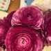 Michelle Peer - Facebook