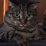 Michelle Peiffer - @michelle.peiffer.140 - Instagram