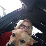 Michelle Percival - @michelle.percival.35 - Instagram
