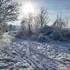 Michelle petit - @michelle.petit49 - TikTok