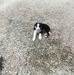 Michelle Petit - Facebook