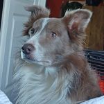 Michelle Petit - @hubert.petit12 - Instagram