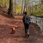 Michelle Petit - @moderatelyperturbed - Instagram