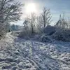 Michelle. petit - @michelle..petit - TikTok