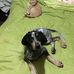 Michelle Petrey - Facebook