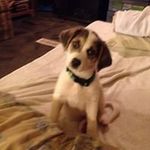 Michelle Petrey - @petreymichelle - Instagram