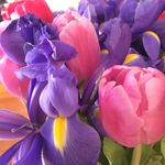 Michelle Petrey - @micpetrey - Instagram