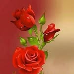 michelle Philips - @philips9100 - Instagram
