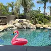 michelle philips - @michellephilips19 - TikTok