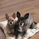 Michelle D Piatt - @michellepiatt71 - Instagram