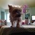 Michelle Piel - Facebook