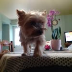 Michelle Piel - @michelle.piel.127 - Instagram