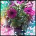 Michelle Pilgrim - Facebook