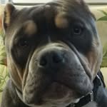 Michelle Pilgrim - @pilgrim4758 - Instagram